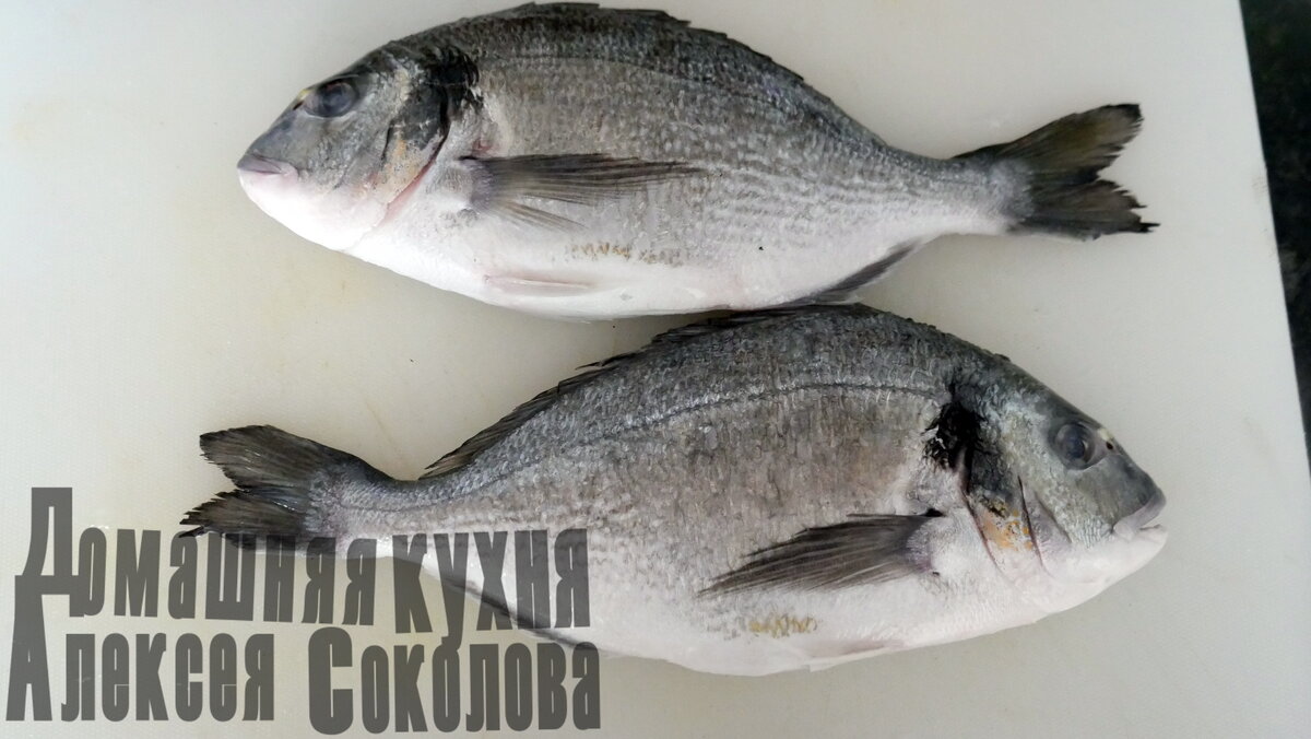 Приобретайте рыбов дорады!