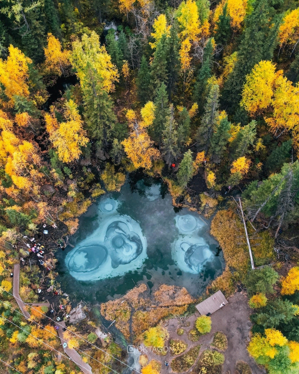 Фото: Дмитрий Куликов