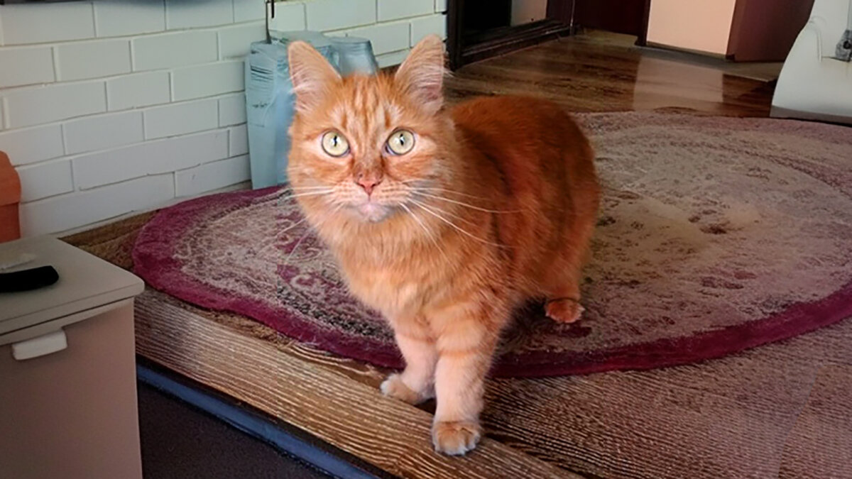 фото из архива автора