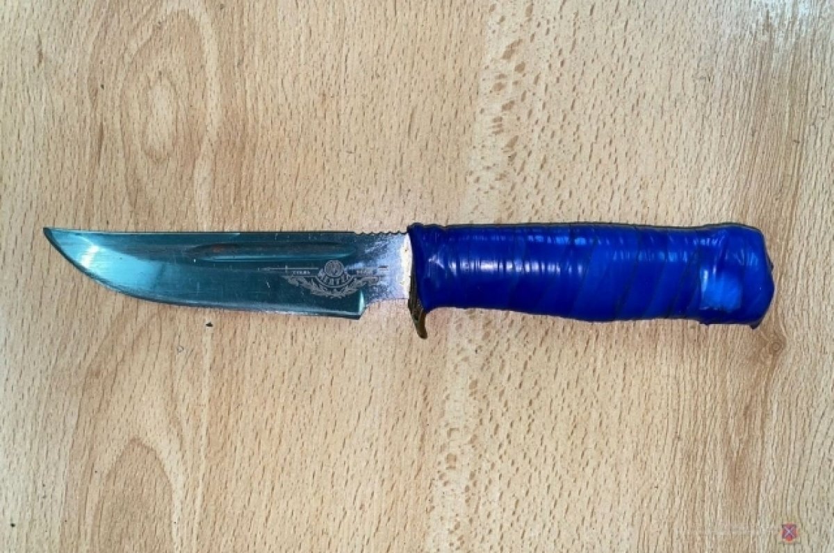    Пенсионерка из Острова предстанет перед судом за убийство соседа ножом