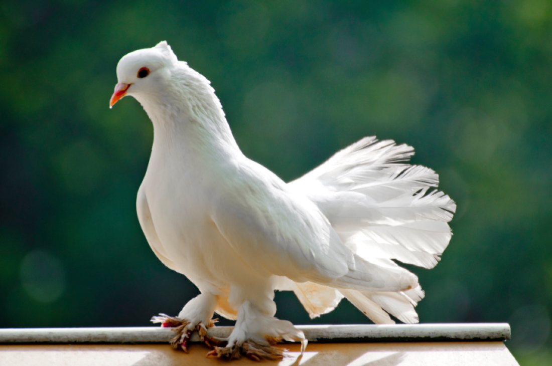 Источник citatnica.ru