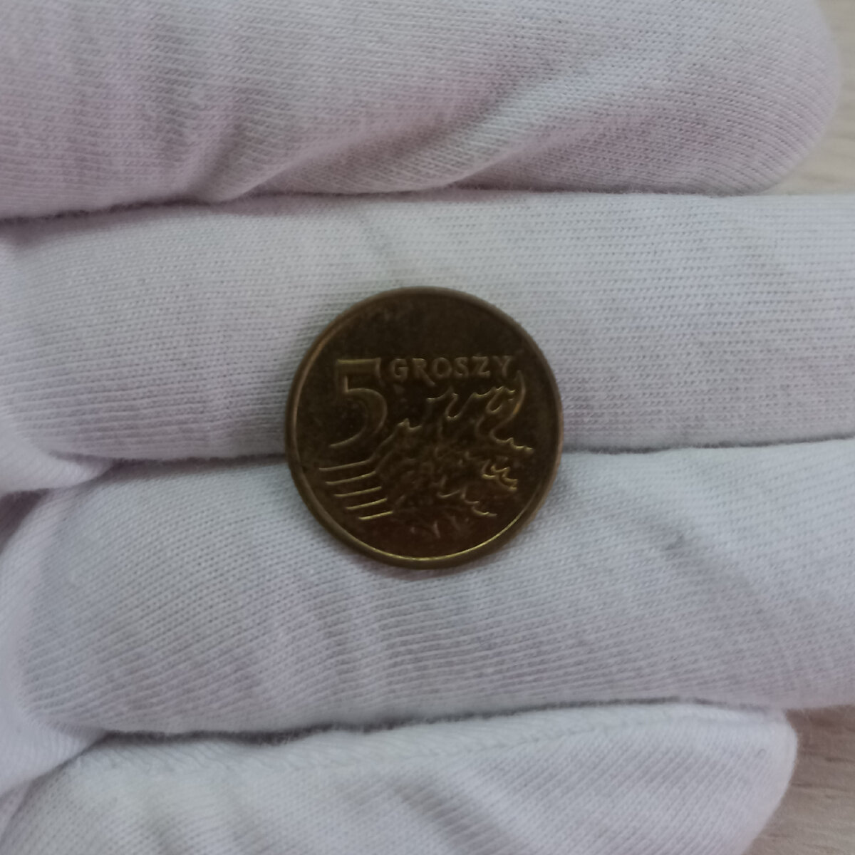 Реверс монеты 5 грош 2010 года. Изображён номинал монеты и дубовый лист.