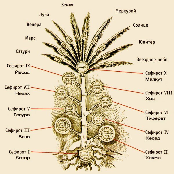 Дерево сефирот картинка