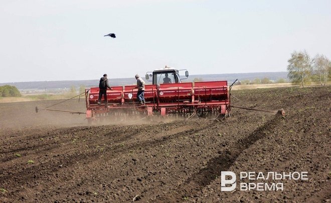 Фото: realnoevremya.ru