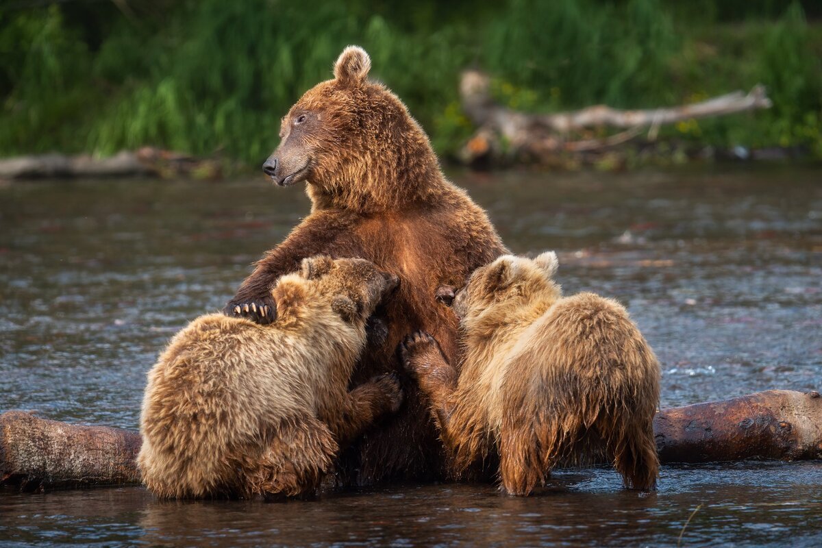    Александр Кукринов, rtraveler.ru