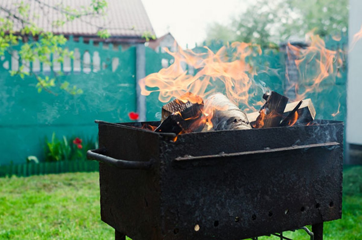    Безопасные шашлыки в лесу и на даче. Три обязательных правила от эксперта