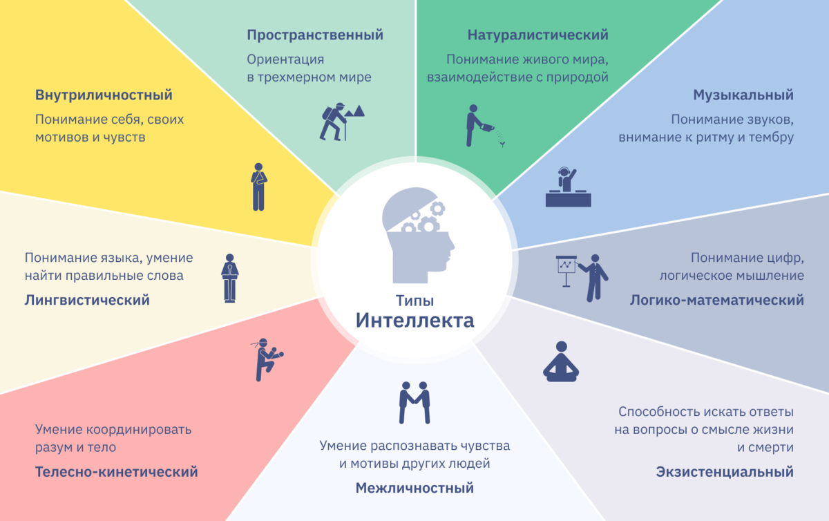 9 интеллектов