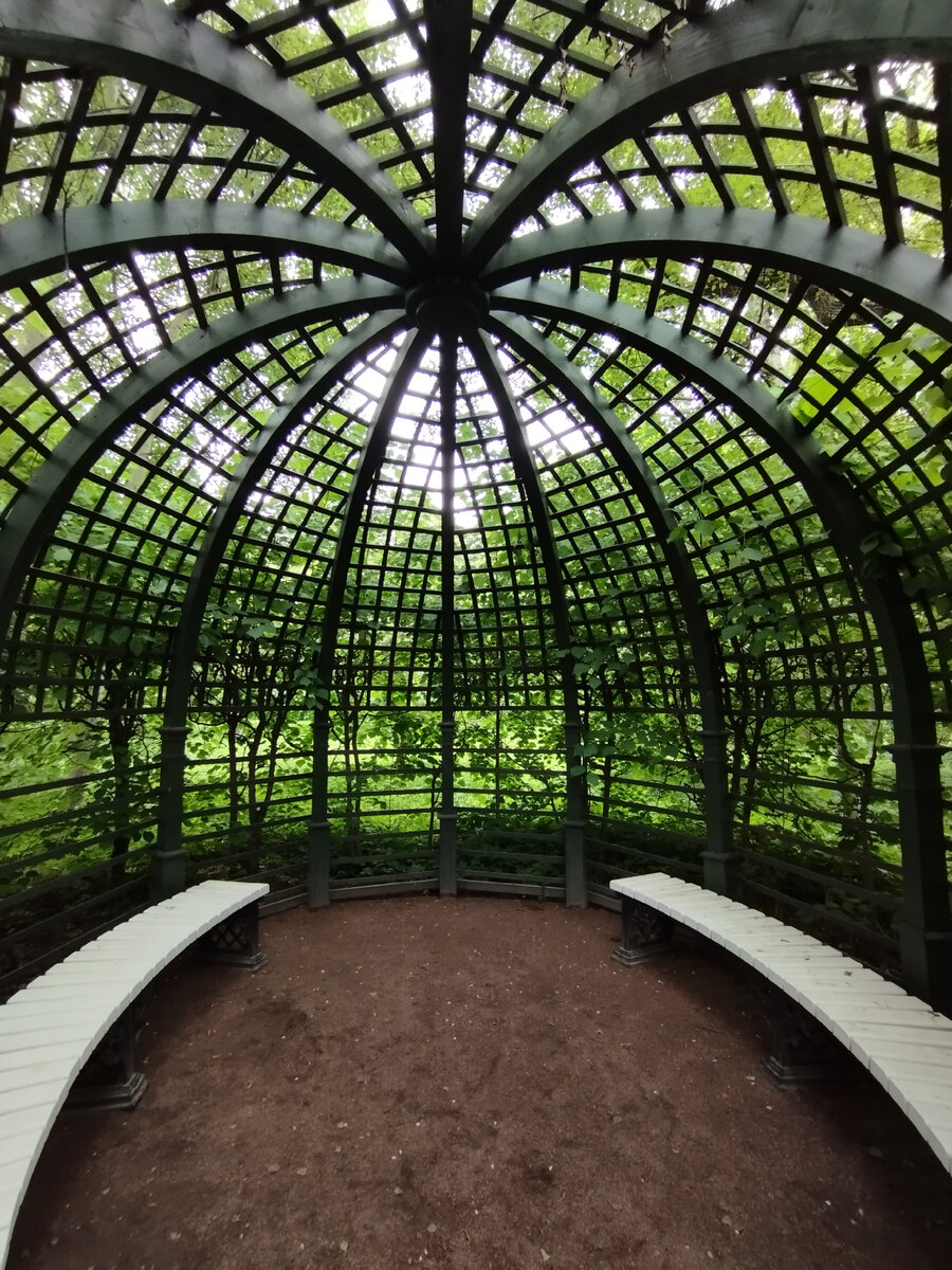 Зеленые беседки (ФОТО АВТОРА)