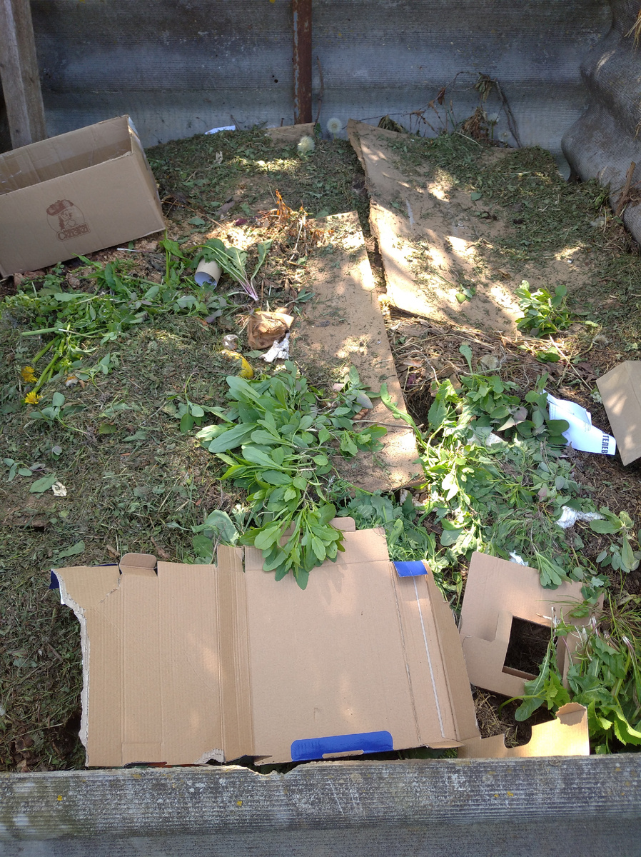 Пока болеем