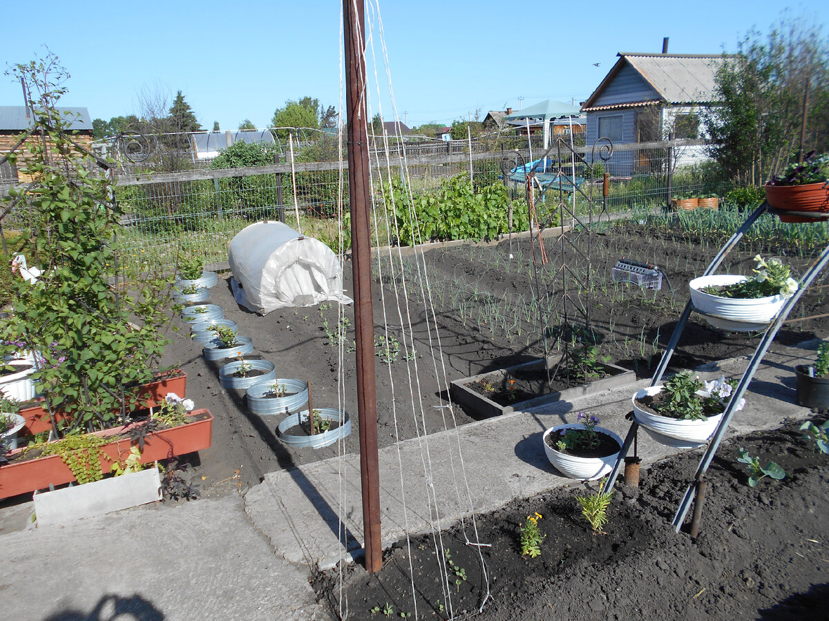 В галерее 2 фото автора