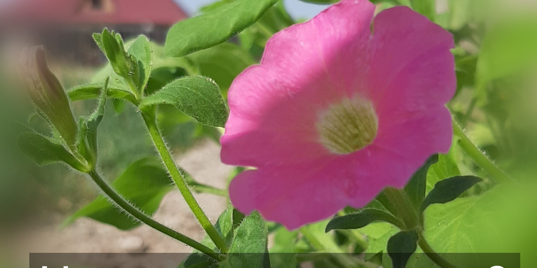 Чего хочет женщина, когда ей 33? История N1.