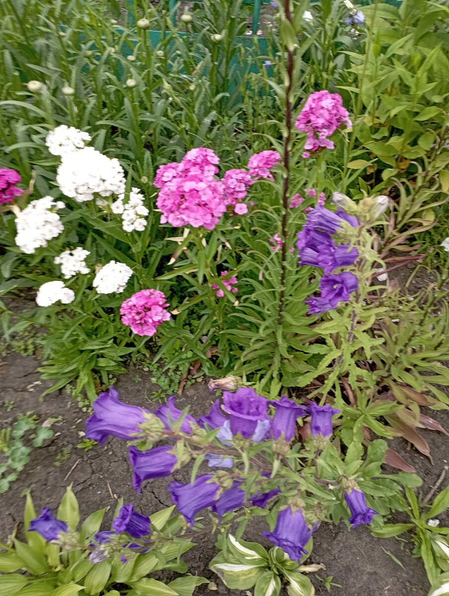 Нестандартное хобби