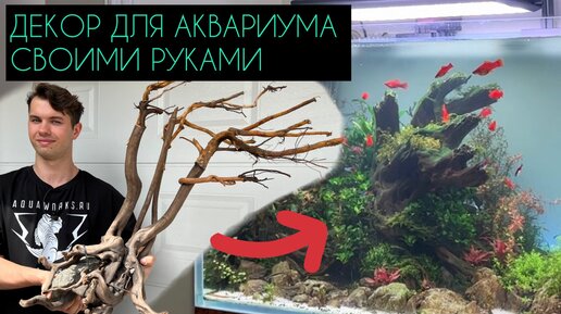 Оформление аквариума: фото, видео примеры | Planted aquarium, Aquascape aquarium, Aquascape