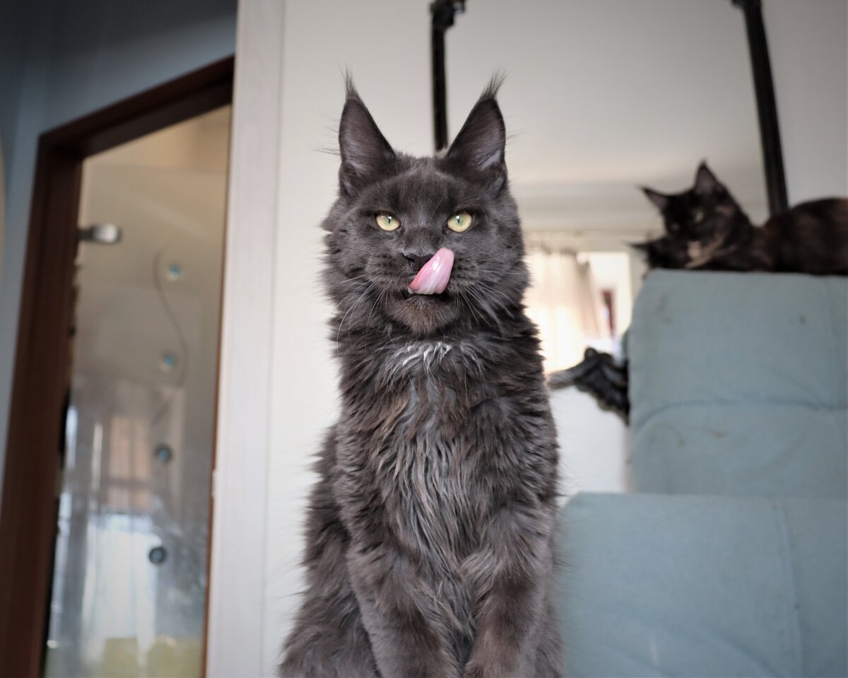 Фото из личного архива.