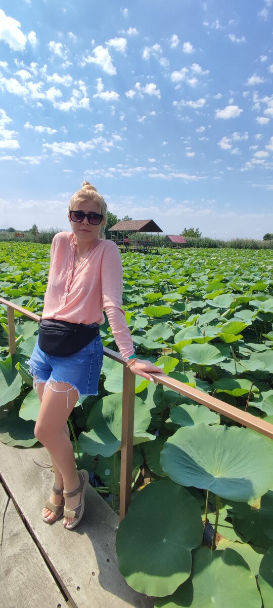 Лотосовый рай.г.Лабинск