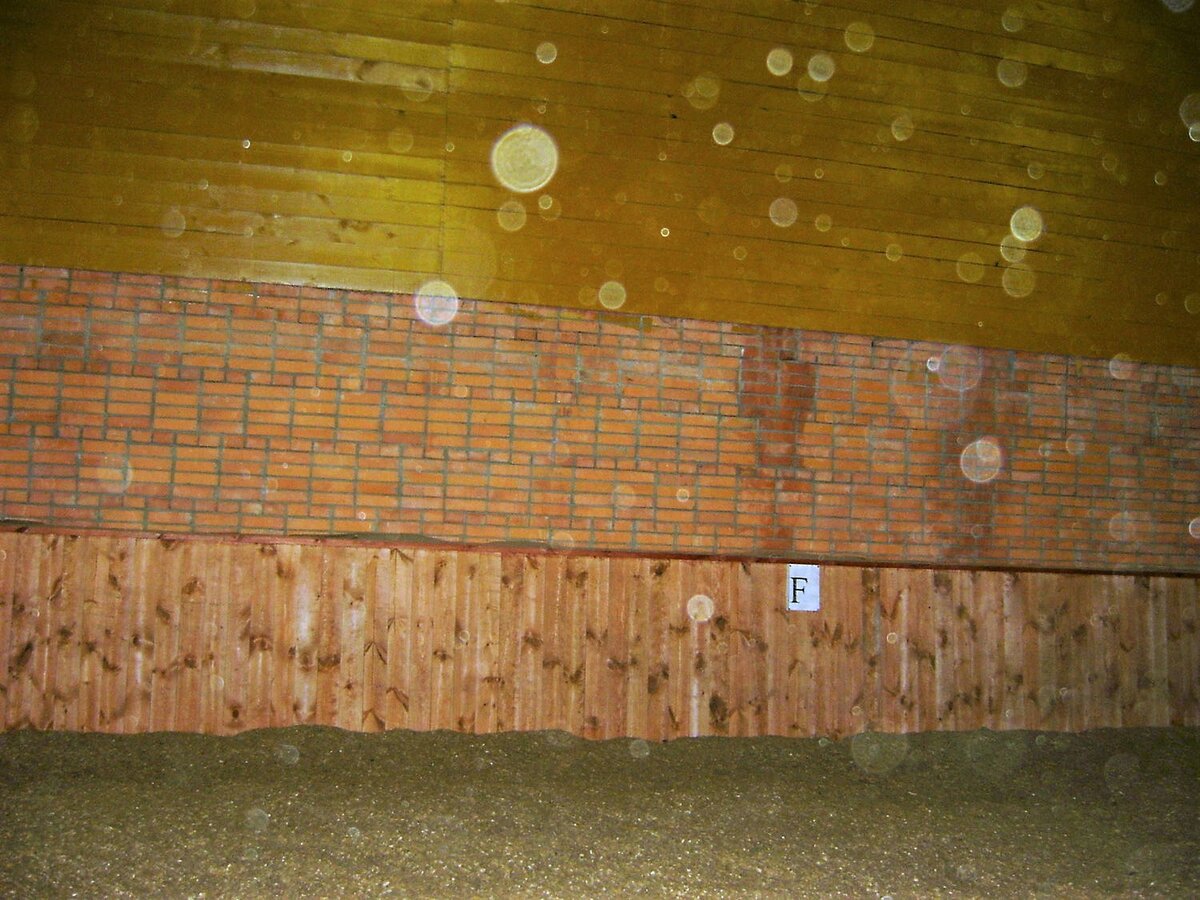 Пыль, поднимаемая в конюшне, где находятся лошади.