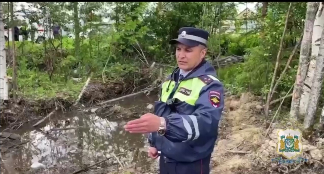   В Пыть-Яхе полицейские вытащили увязших в болоте детей