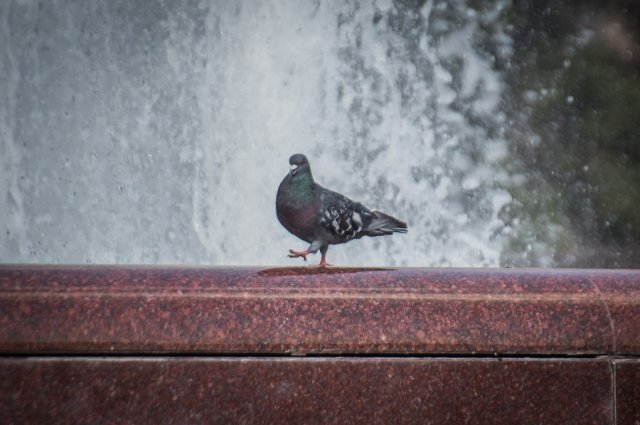    Как вести себя во время жары?