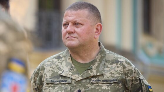    Путин допустил, что главком ВСУ Залужный может находиться за границей Ирина Петрова