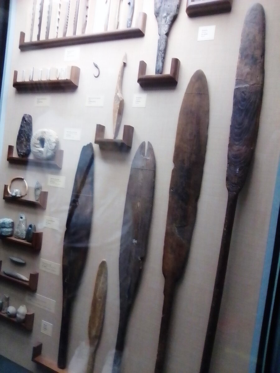 Некоторые из экспонатов «Шигирской кладовой»