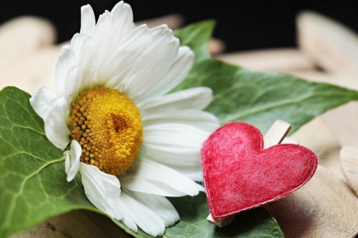    «Золотая семья» Омской области живёт в Марьяновском районе