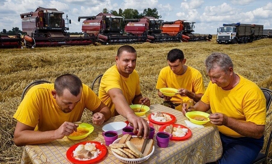 Обед в колхозе. Обед комбайнеров в поле. Механизаторы обедают в поле. Обед в поле на уборке урожая.