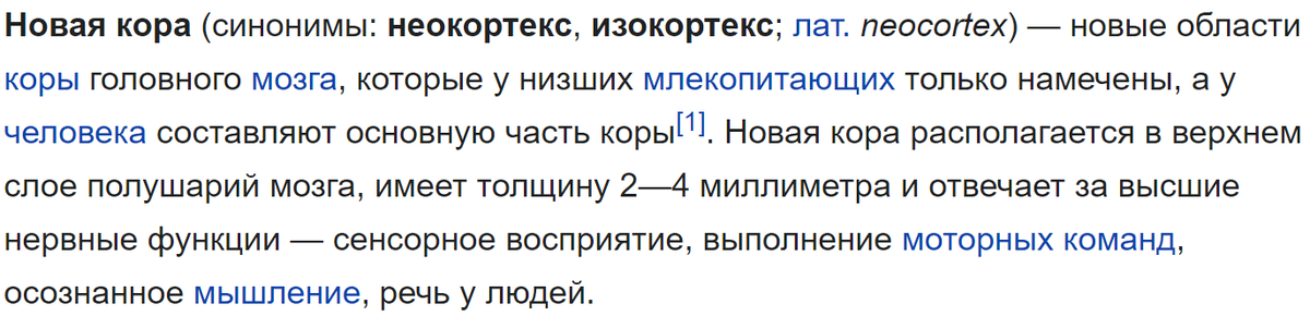 Источник: https://ru.wikipedia.org/wiki/Новая_кора