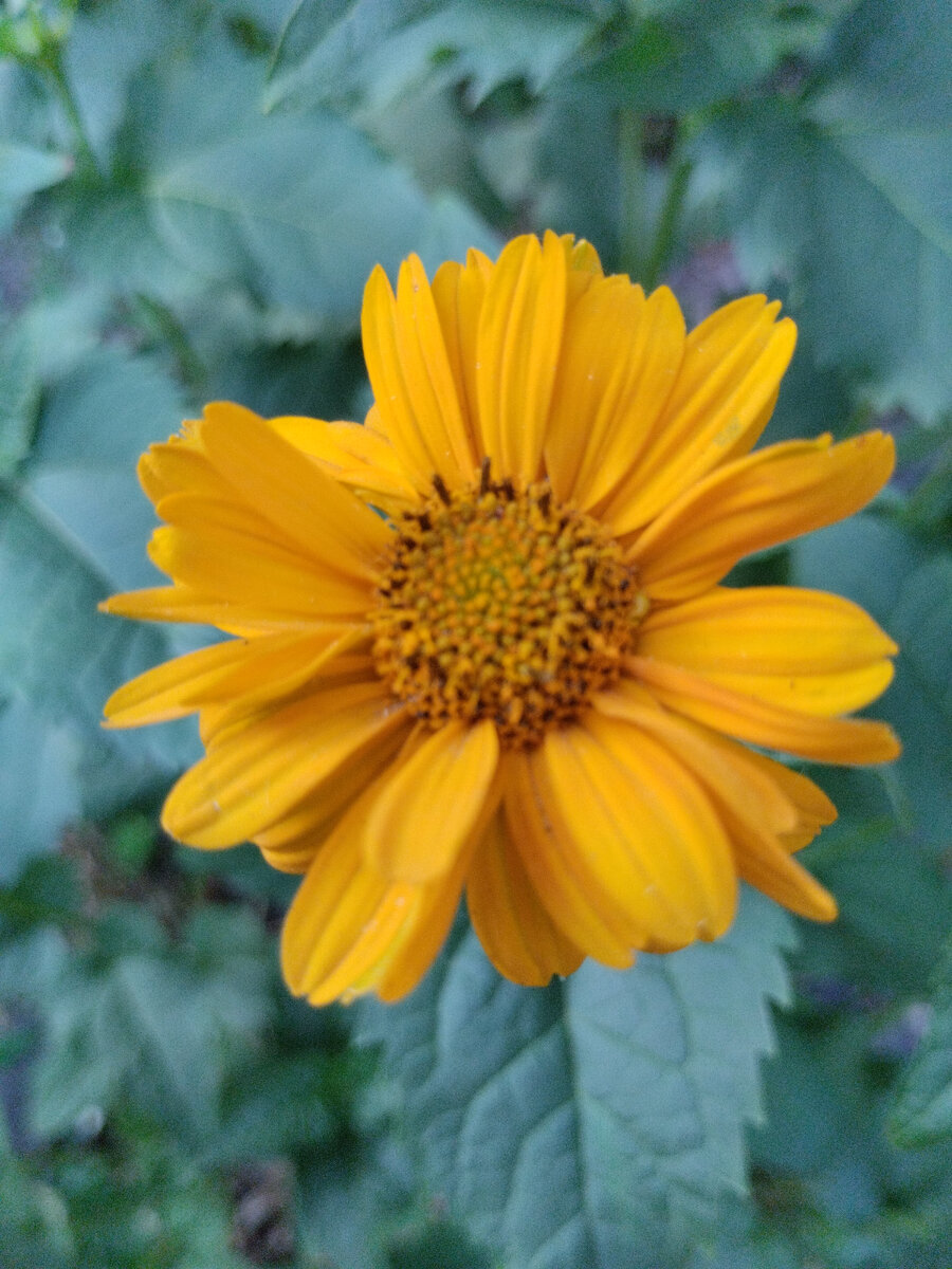 После дождя