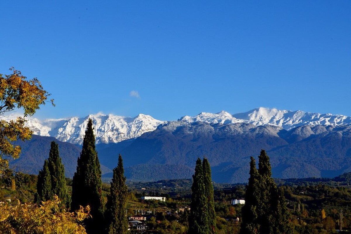    Фото: pixabay.com