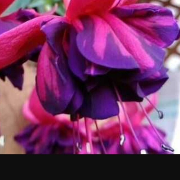 Фото взято в свободном доступе в интернете