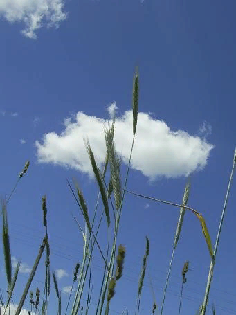 фото из инета