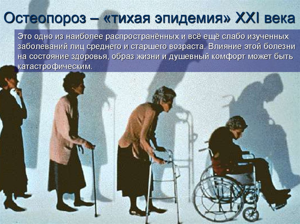Источник фото: яндекс