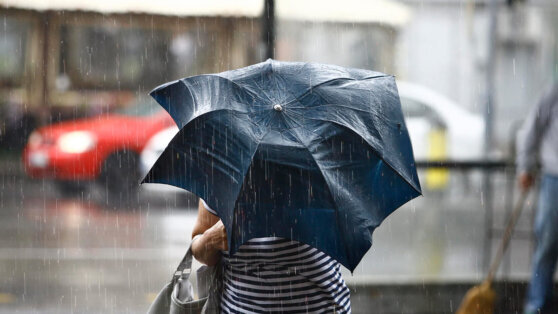    В последние дни июня на Москву может обрушиться до трети месячной нормы осадков Ирина Петрова