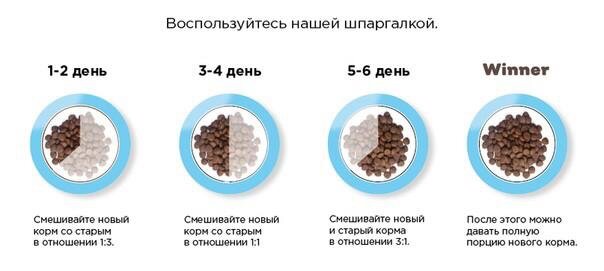 Схема перехода на новый корм для собак