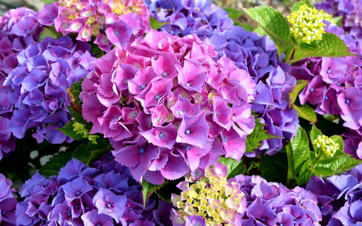 фото взято из открытых источников