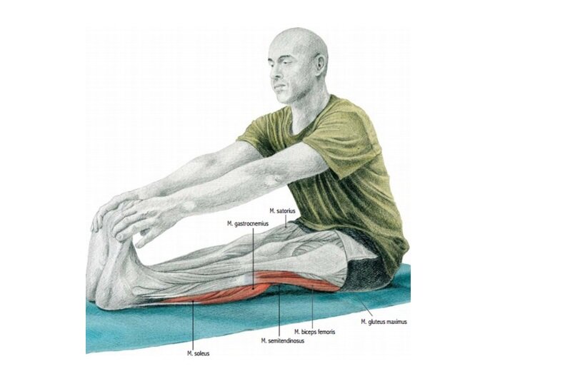 Растяжка икроножных мышц упражнения