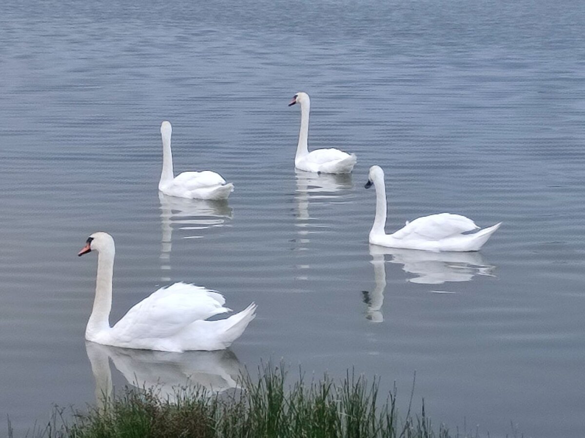 фото автора канала