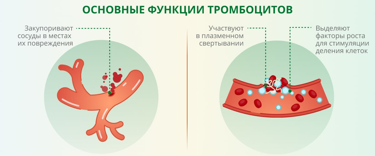  В своей практике я постоянно назначаю курсы PRP-терапии пациентам, страдающих от андрогенетической алопеции.-2