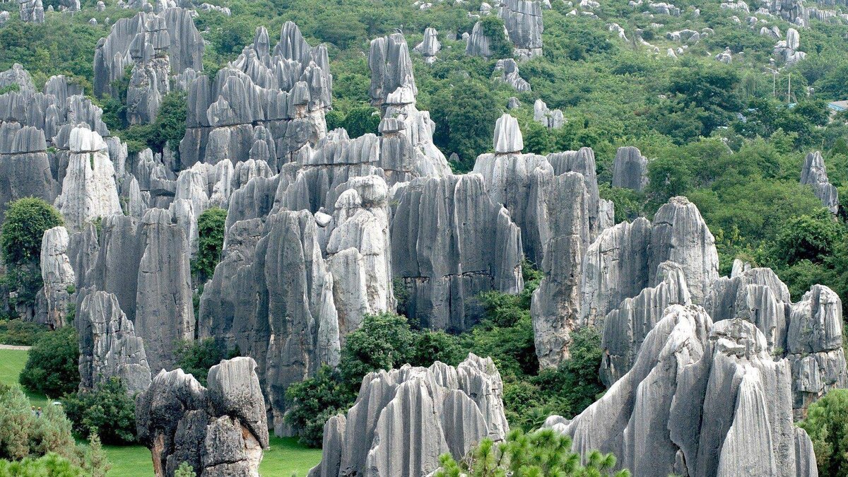каменный лес в китае