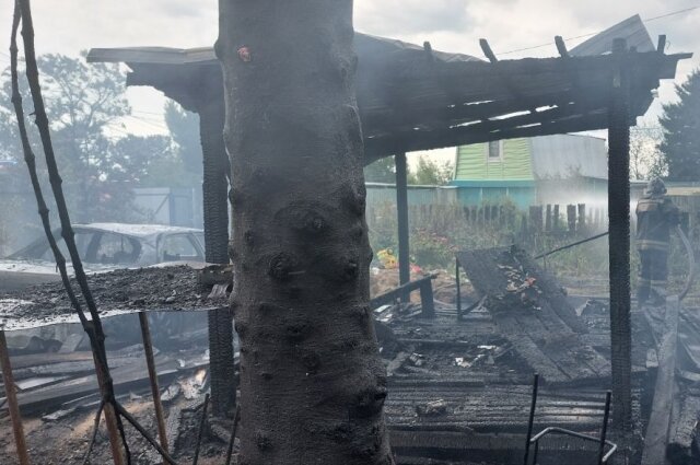    Фото: ГУ МЧС по Томской области