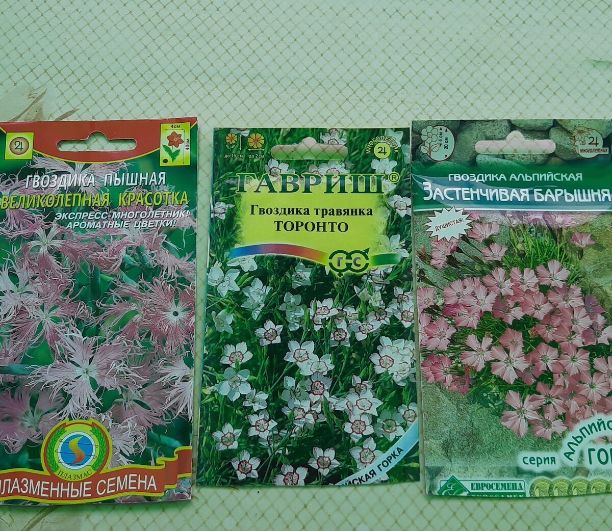 Семена гвоздики.