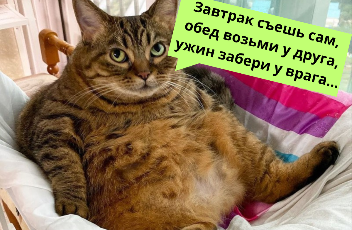 Только, если это полезные блюда