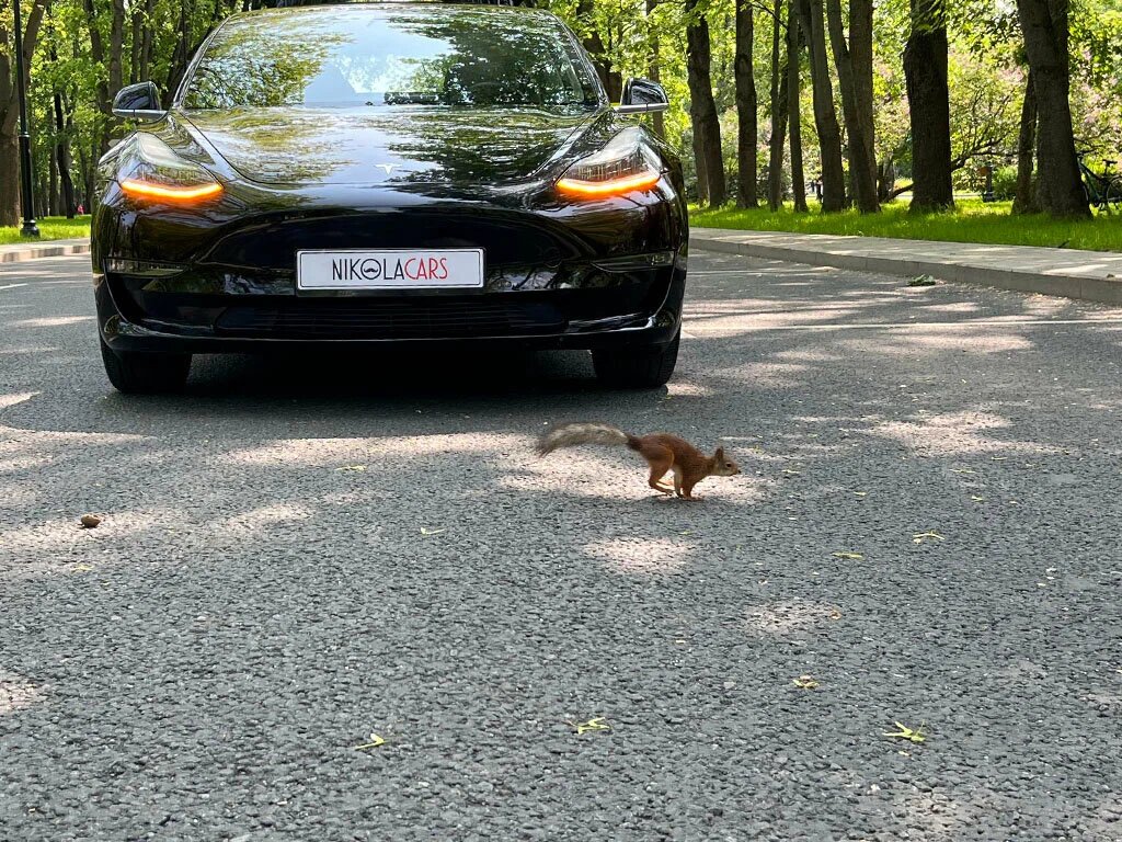Тесла Модель 3 черного цвета 2018 года.