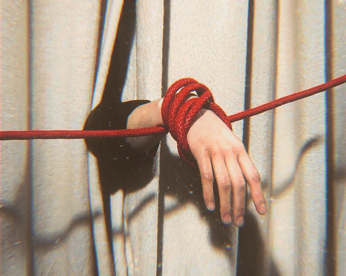 Яндекс Картинки