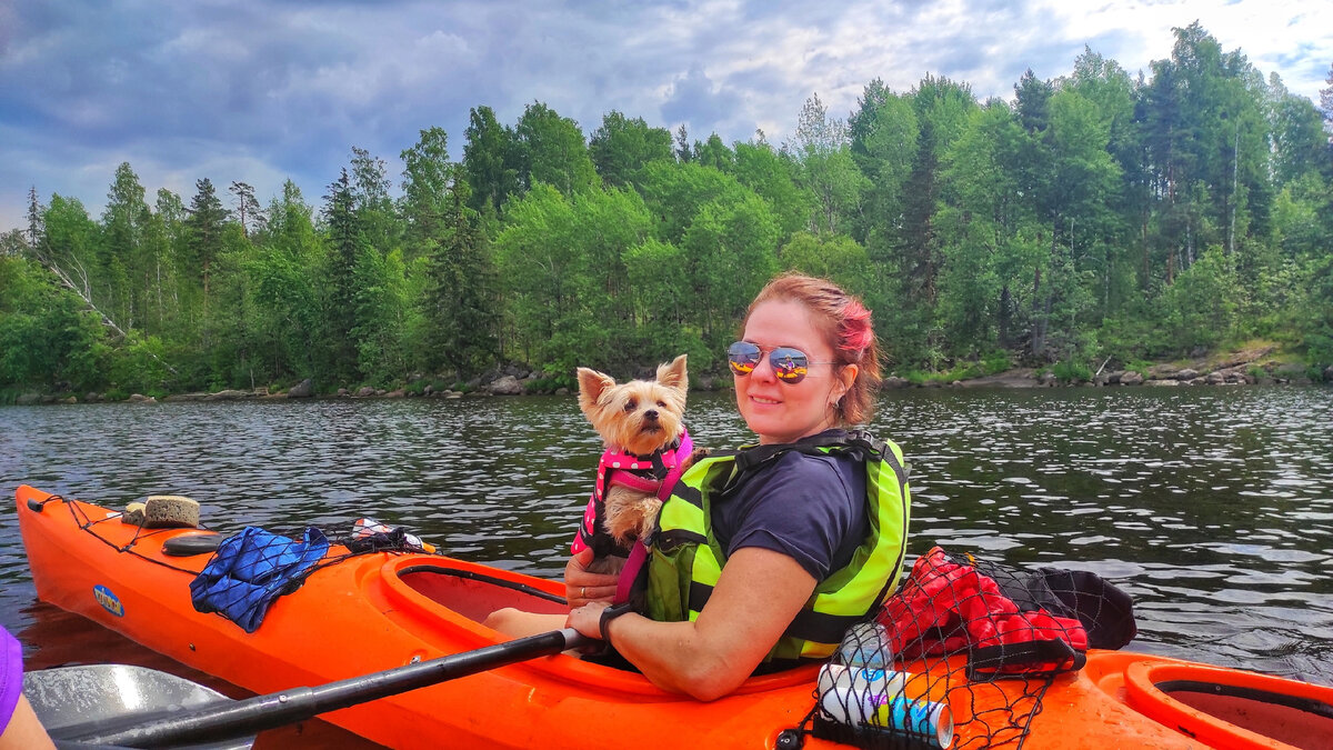 Собака должна быть дружелюбна ко всем участникам похода