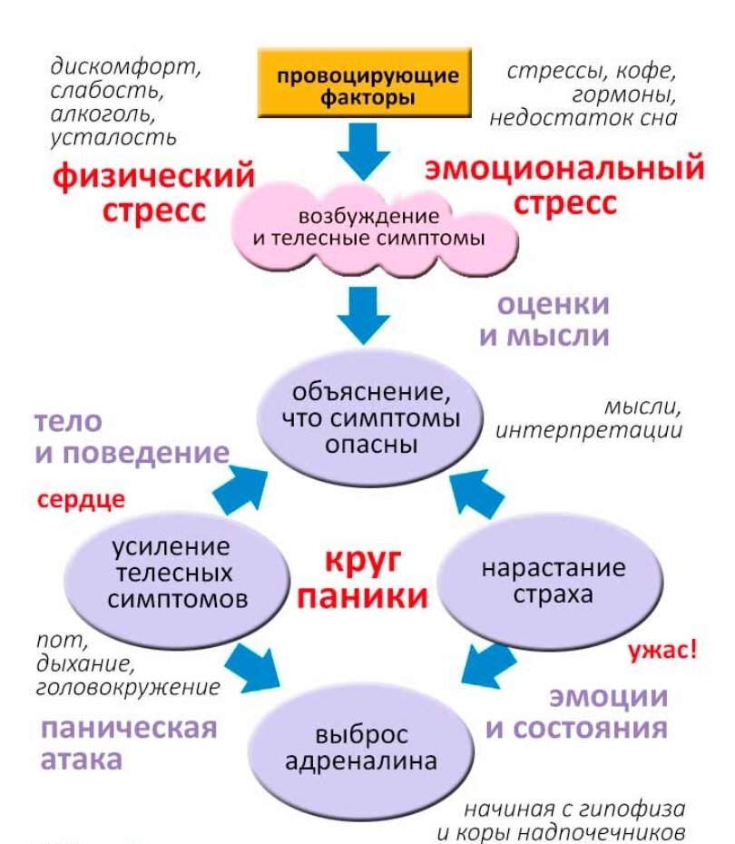 Как выглядит паническая атака у человека симптомы Панич атаки