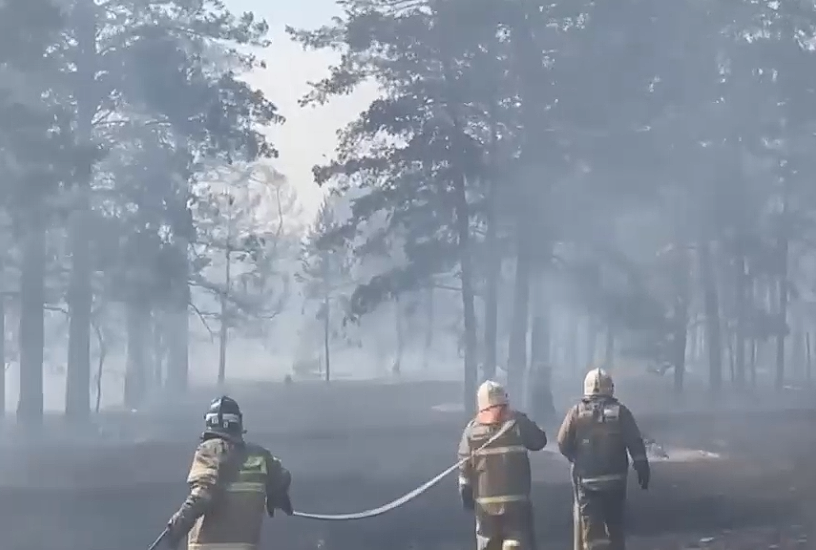 Пожар в области Абай