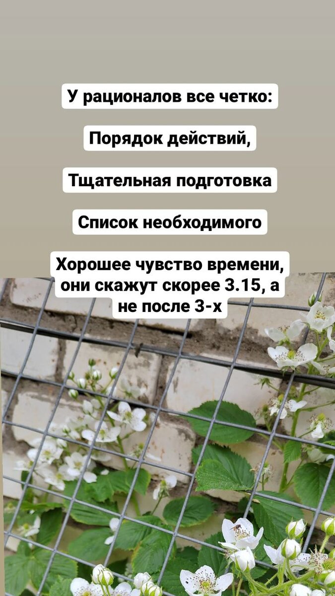 Рационалы. Фото с дачи