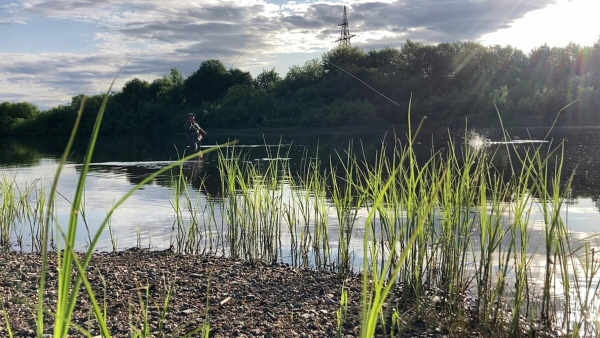 Махлыстовая рыбалка