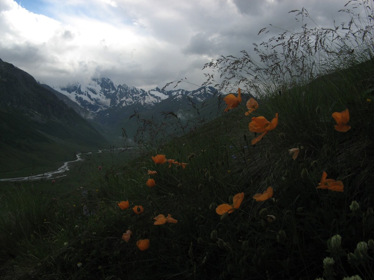 Вот сюда, например